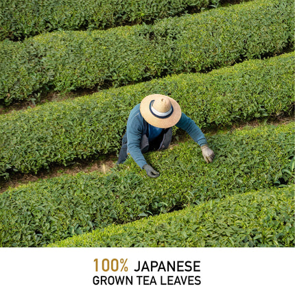 Premium Sencha Loose Leave Artisan Tea 極品煎茶 せんちゃ